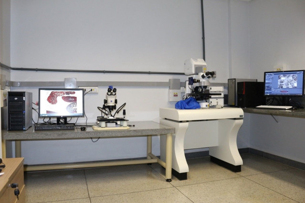 Microscópio Confocal a Laser AXIO IMAGER Z2 e Estéreo Microscópio Óptico ZEISS STEMI 2000